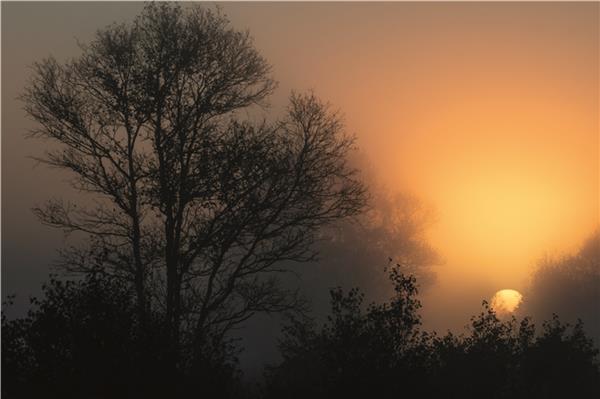 Leserfoto des Monats Februar