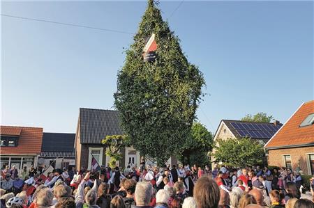 Borkum verzichtet erstmals auf lebenden Hahn am Maibaum