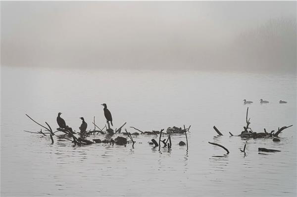 Leserfoto des Monats September