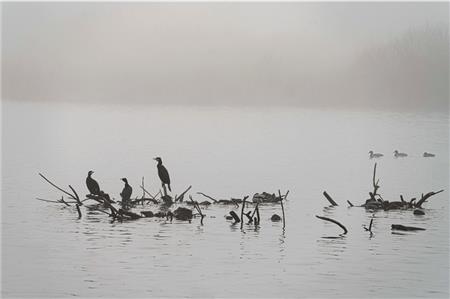 Leserfoto des Monats September