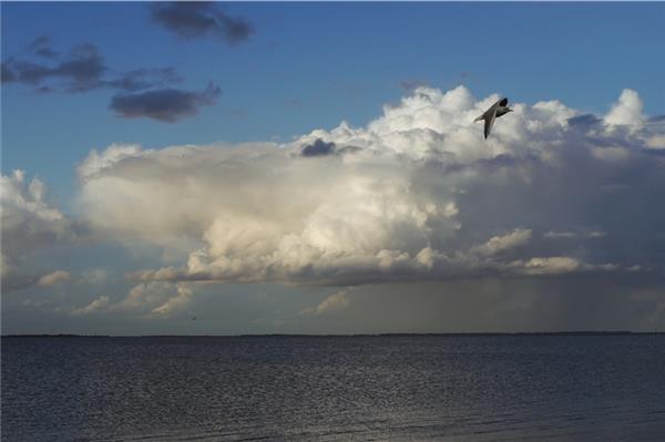 Leserfoto des Monats November