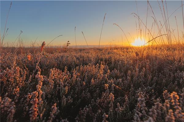 Leserfoto des Monats Dezember