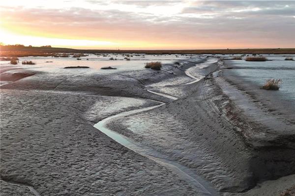 Einst landwirtschaftlich genutzt, hat sich der Langwarder Groden in eine Naturlandschaft zurückverwandelt, die das Weltnaturerbe mit Watt und Salzwiese ein Stückchen größer macht.