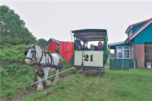 Nach fast zwei Jahren konnte die Pferdebahn auf Spiekeroog ihren Betrieb wieder aufnehmen.