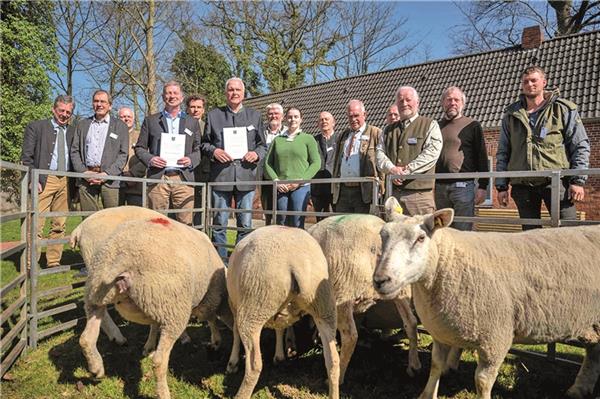 Vertreter der Küsten-Jägerschaften wollen die Politik zum Schutz der Schafe in die Pflicht nehmen.